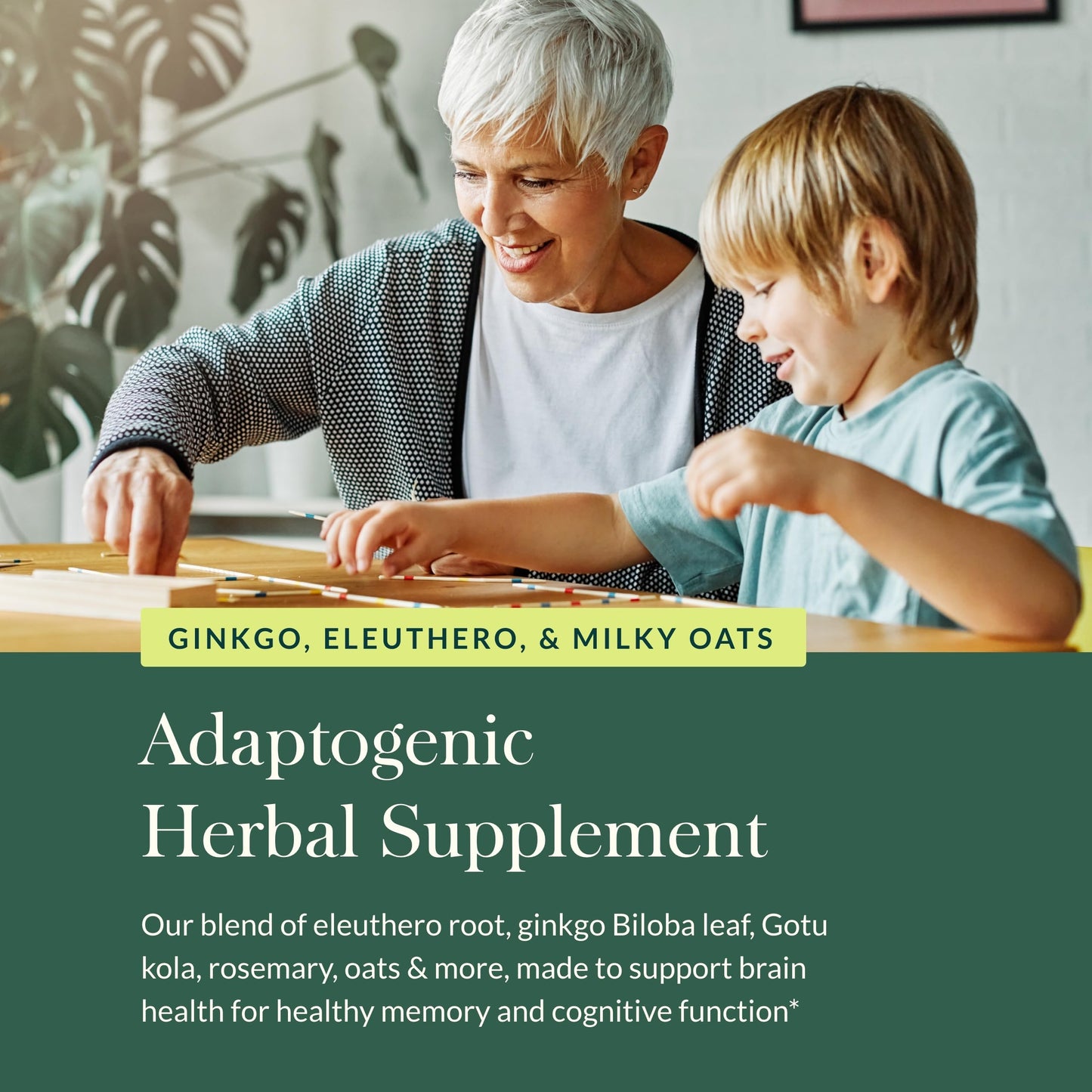 Gaia Herbs Mental Alertness - Brain Support Supplement for Focus & Memory* | 60 Vegan Liquid Phyto-Capsules (15-Day Supply)