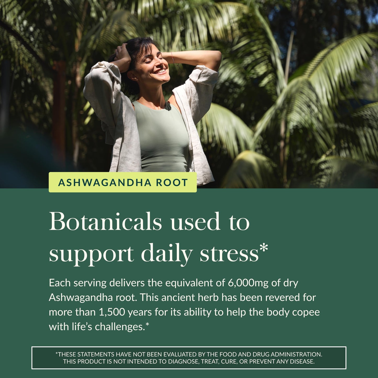 Gaia Herbs Organic Ashwagandha Gummies – Stress Support* | Cinnamon & Ginger | Gluten Free & Vegan | 81 Count