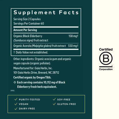 Gaia Herbs Black Elderberry – Daily Immune Support Capsules with Acerola (120 Vegan Capsules, 60 Servings) BritishVita | Premium UK Vitamins & Wellness Supplements