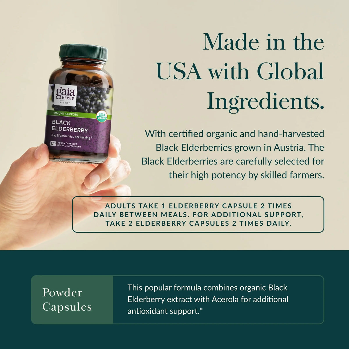 Gaia Herbs Black Elderberry – Daily Immune Support Capsules with Acerola (120 Vegan Capsules, 60 Servings) BritishVita | Premium UK Vitamins & Wellness Supplements
