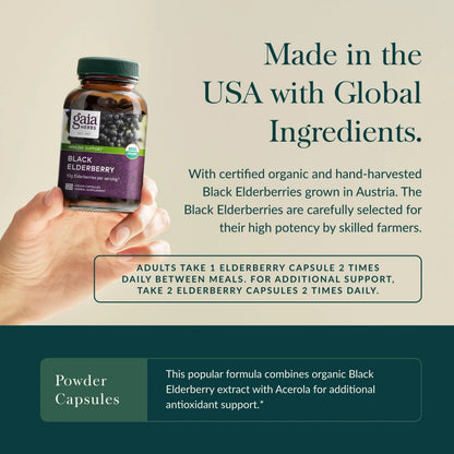 Gaia Herbs Black Elderberry – Daily Immune Support Capsules with Acerola (120 Vegan Capsules, 60 Servings) BritishVita | Premium UK Vitamins & Wellness Supplements