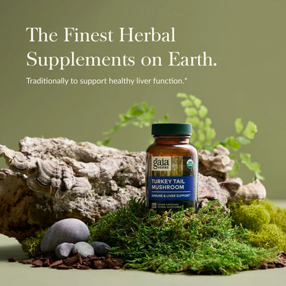 Gaia Herbs Turkey Tail Mushroom – Immune Support & Liver Health, 120 Vegan Capsules BritishVita | Premium UK Vitamins & Wellness Supplements