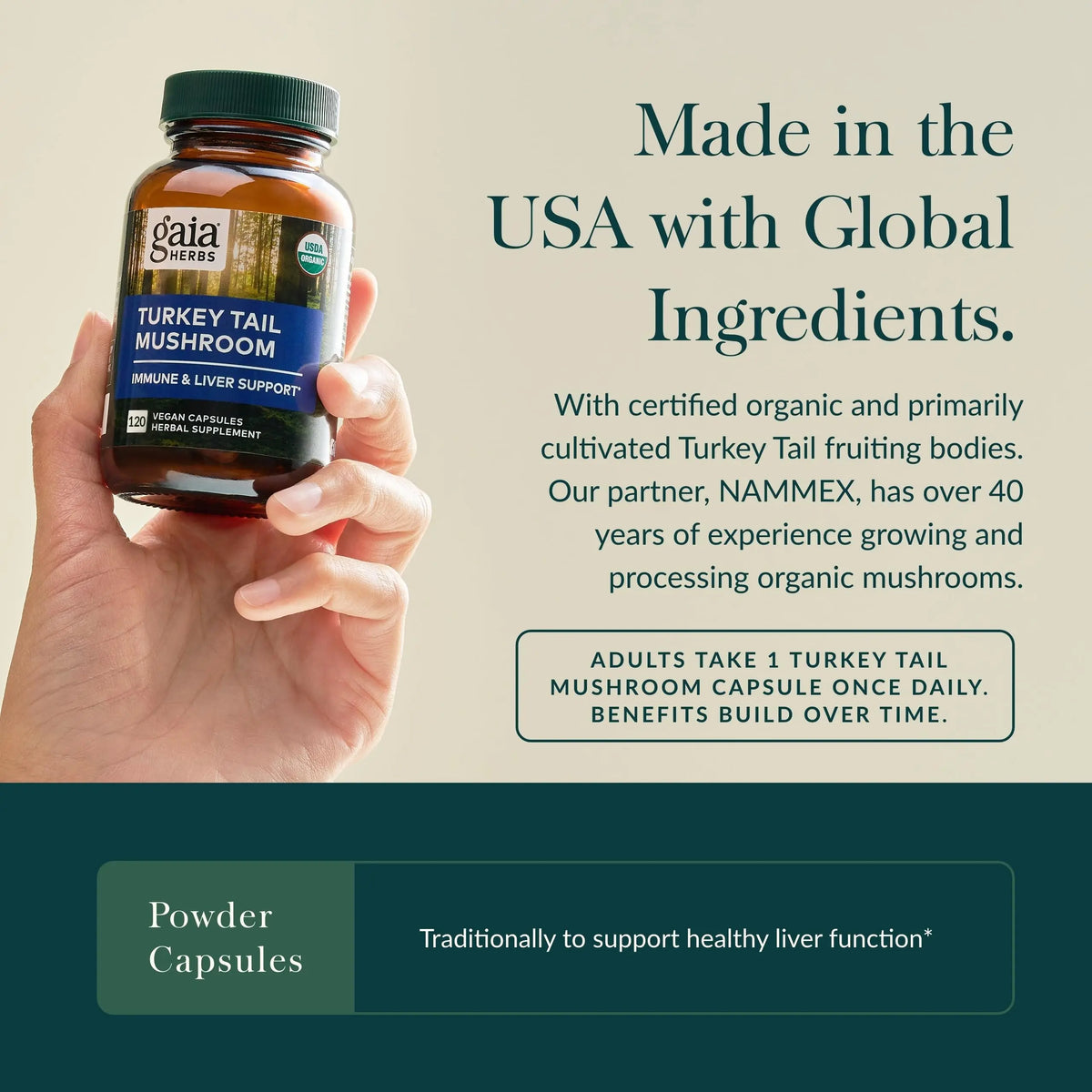 Gaia Herbs Turkey Tail Mushroom – Immune Support & Liver Health, 120 Vegan Capsules BritishVita | Premium UK Vitamins & Wellness Supplements