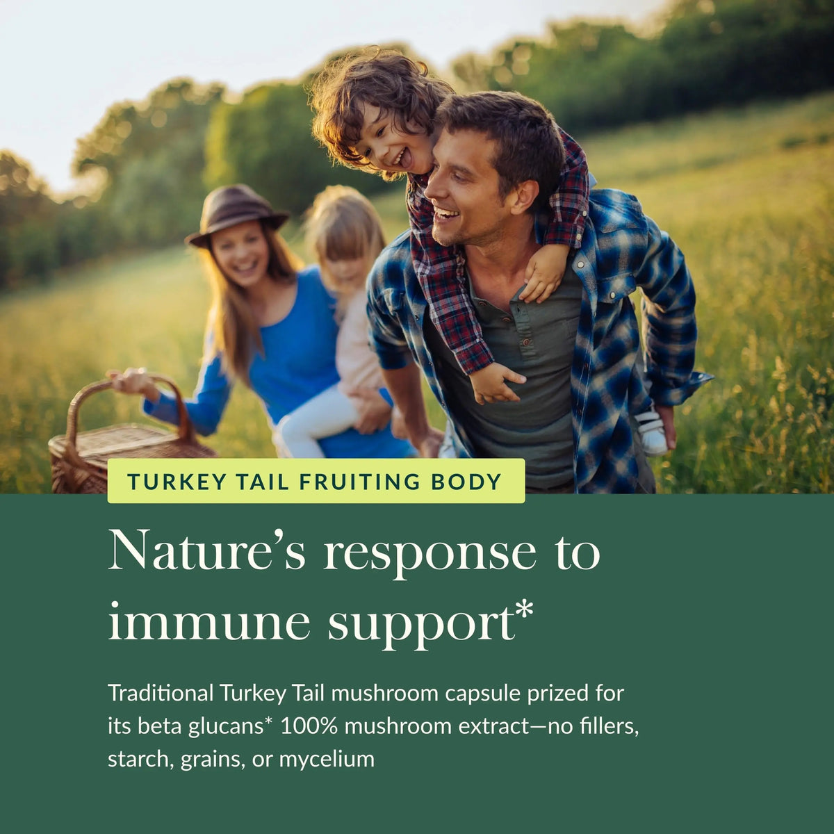 Gaia Herbs Turkey Tail Mushroom – Immune Support & Liver Health, 120 Vegan Capsules BritishVita | Premium UK Vitamins & Wellness Supplements