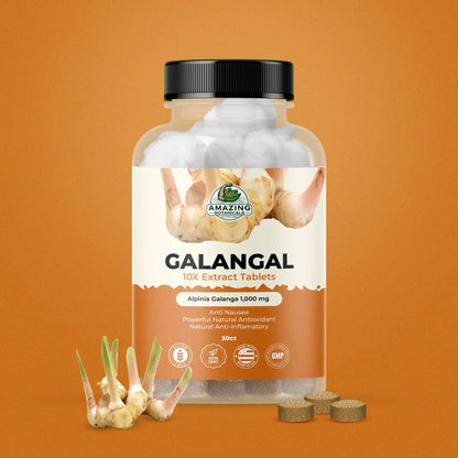 Galangal 10X Extract Tablets 1,000 mg – High-Potency Herbal Supplement – 30 Count – Vegan & Non-GMO