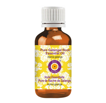 Galangal Root Essential Oil - Alpinia Galanga | Pure 5ml Steam Distilled