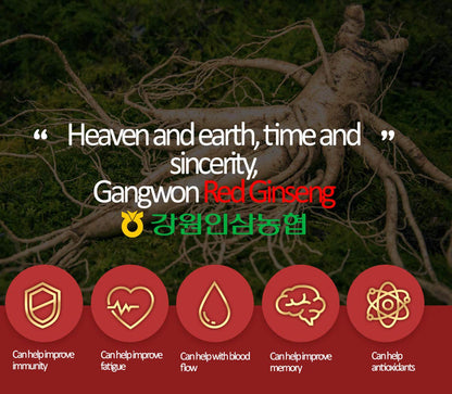 Gangwoninsam Korean Red Ginseng Extract Gold 240g (8.46 fl oz) – 100% Pure 6-Year-Old Korean Red Ginseng Root Extract