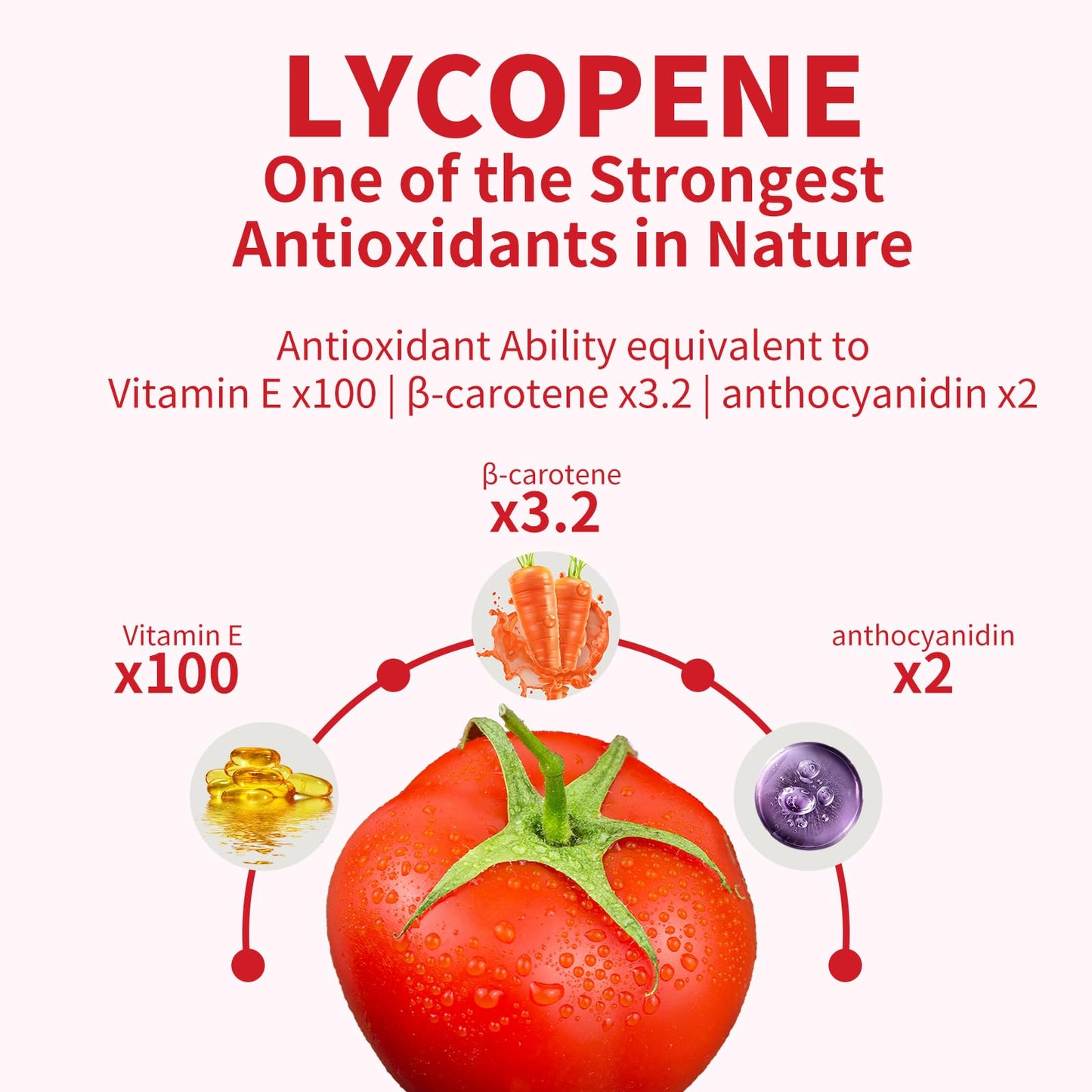 GANOHERB Lycopene Supplement for Men – 100 mg Lycopene, 60 Rapid Release Capsules, 2-Month Supply