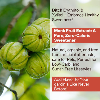 Sugar Free Garcinia Cambogia Gummies 1000mg – 95% HCA, Vegan, Strawberry, 60-Count