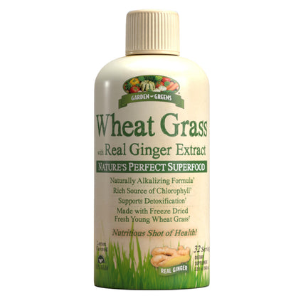 Garden Greens Wheat Grass Liquid with Ginger Extract – 32 Servings