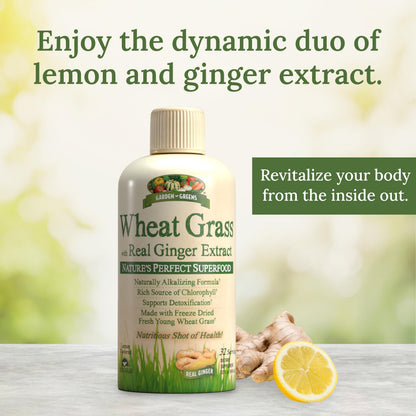 Garden Greens Wheat Grass Liquid with Ginger Extract – 32 Servings