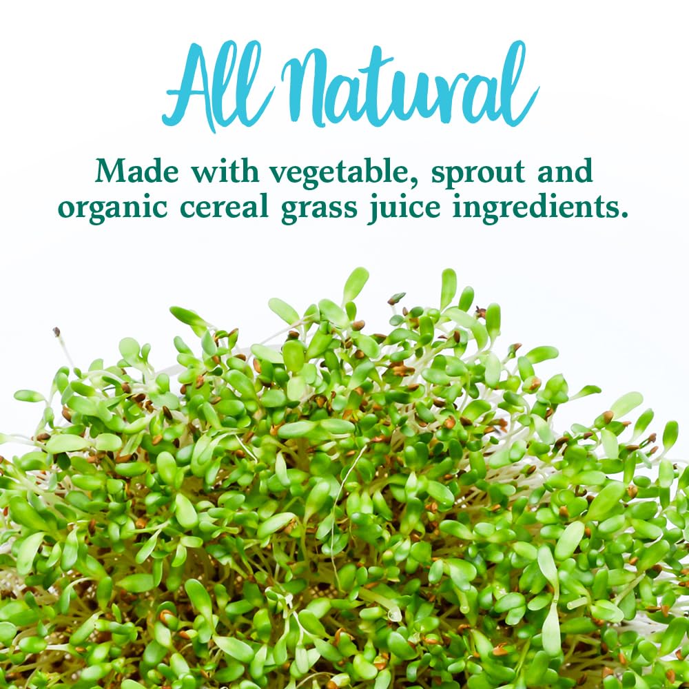 Garden of Life Perfect Food Super Green Formula – 30 Servings, 45 Superfoods