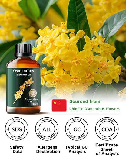 Pure Osmanthus Essential Oil – Diffuser, Skin, Air Purifier, Candles | 3.38 Fl Oz