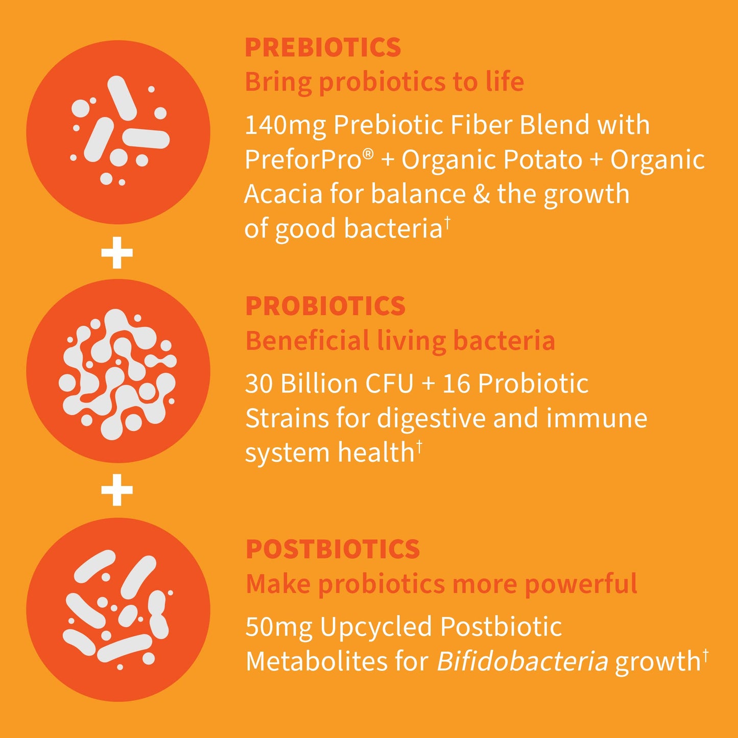 Garden of Life Dr Formulated 30B Probiotics + Prebiotics + Postbiotics