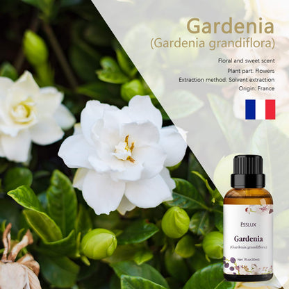 Esslux Gardenia Essential Oil 30 ml – Steam Distilled for Diffuser, Massage, Soap, Candle Making, Perfume