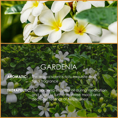 Gardenia Essential Oil 4 oz (120 ml) - Pure & Natural Fragrance for Aromatherapy