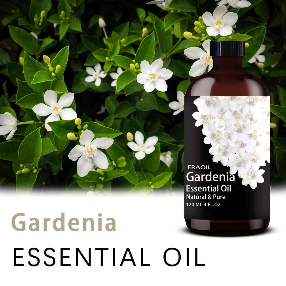 Gardenia Essential Oil 4 oz (120 ml) for Diffuser & DIY - FRAOIL