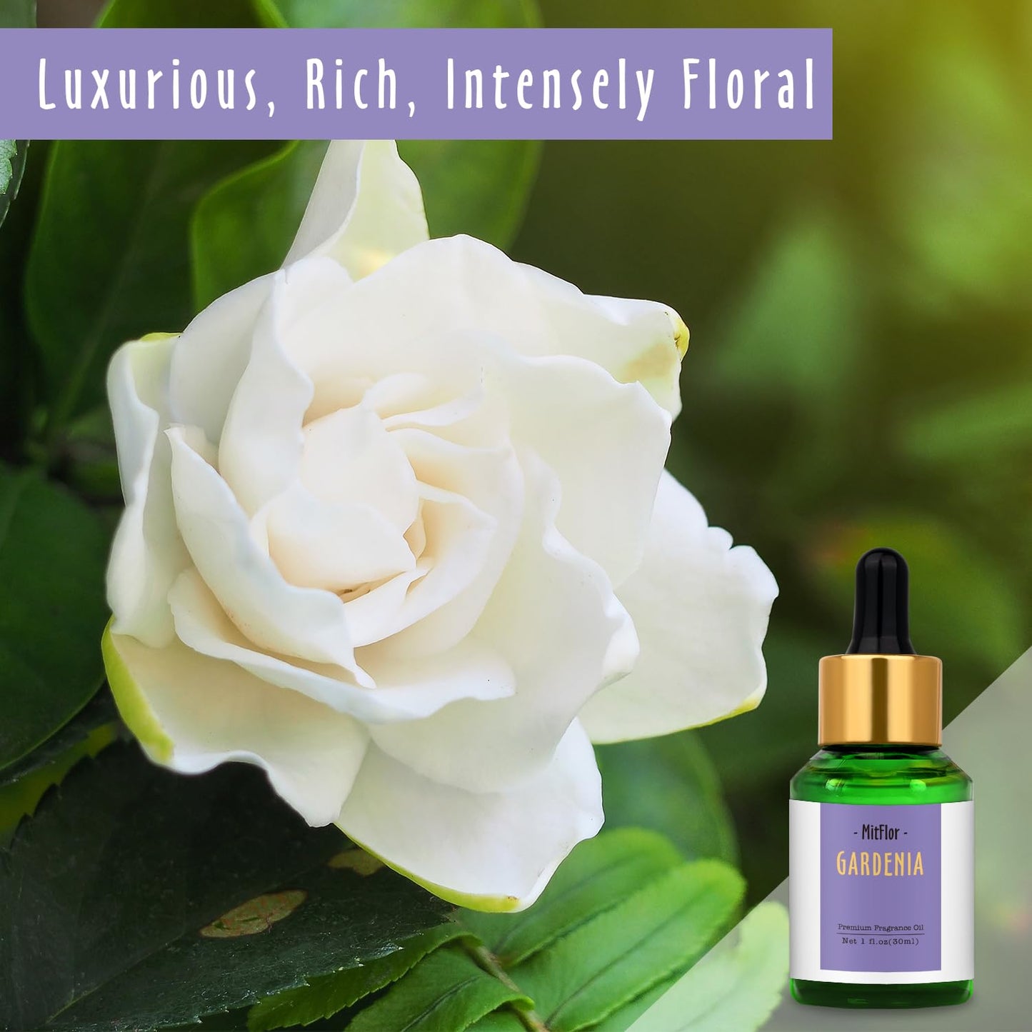 Gardenia Fragrance Oil – MitFlor Single Scented Oil, Large 30ml Premium Grade for Soap, Candle Making, Diffusers