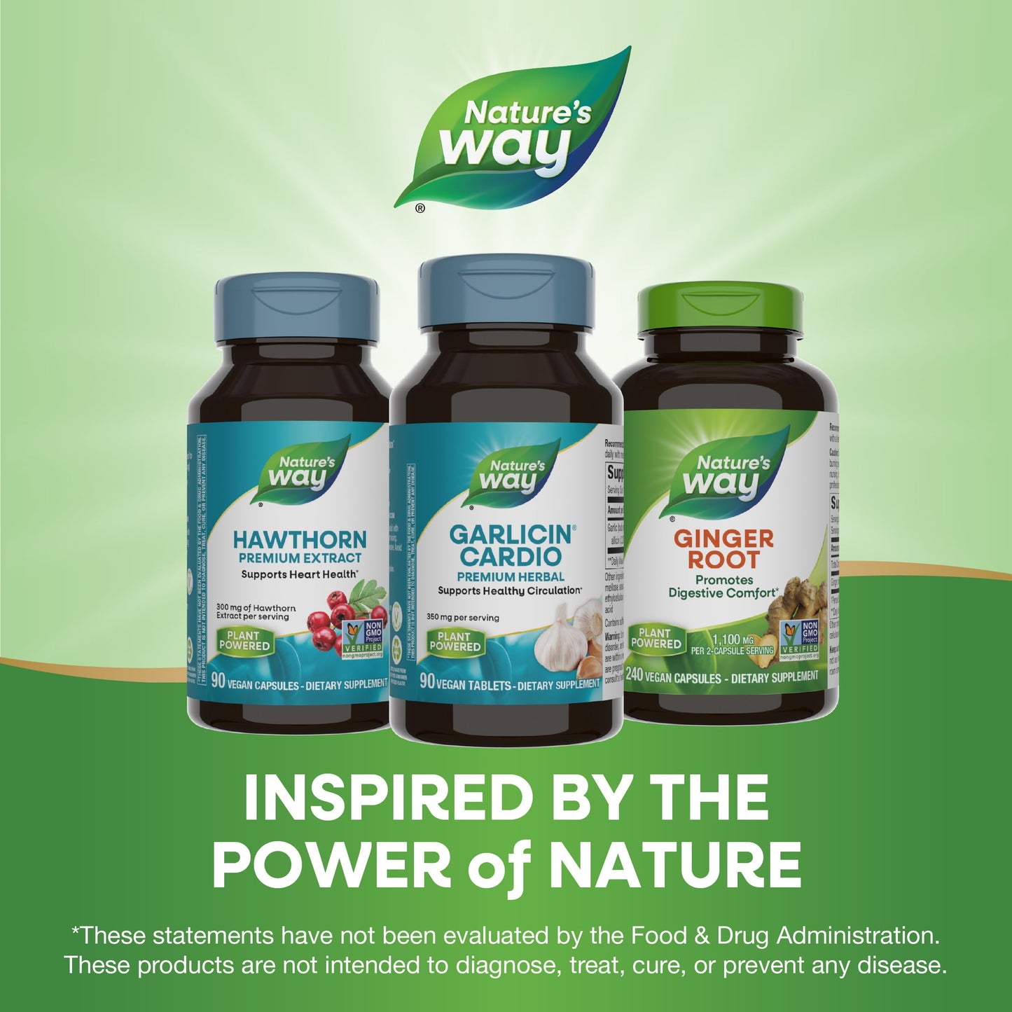 Nature’s Way Garlicin Cardio – Premium Herbal Circulation Support (350 mg, 90 Tablets)