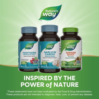 Nature’s Way Garlicin Cardio – Premium Herbal Circulation Support (350 mg, 90 Tablets)