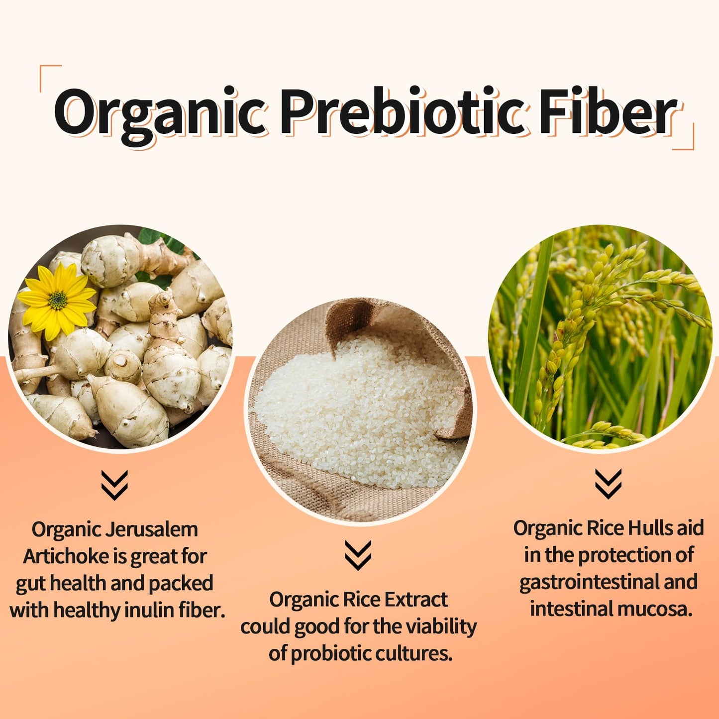 300 Billion CFU Probiotics - Gut Health, 12 Strains + Prebiotic, 60 Caps