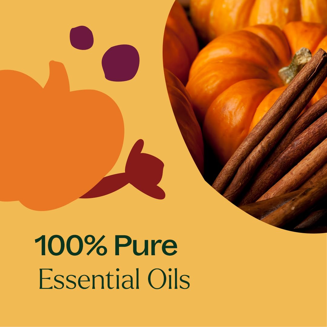 Plant Therapy Pumpkin Spice Fall Essential Oil Blend 10 mL – Warm & Cozy Scent