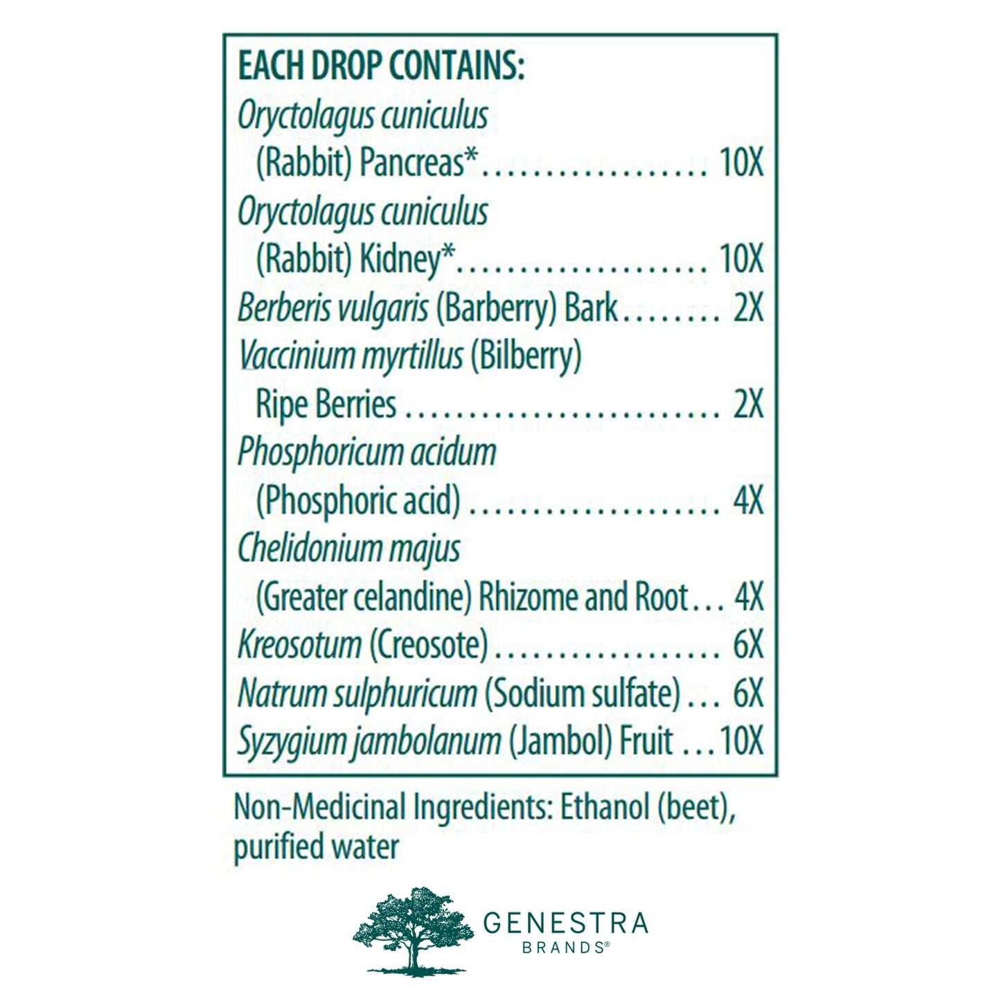 Genestra Brands HPNP | Organotherapy and Homeopathic Remedy | 1 fl oz