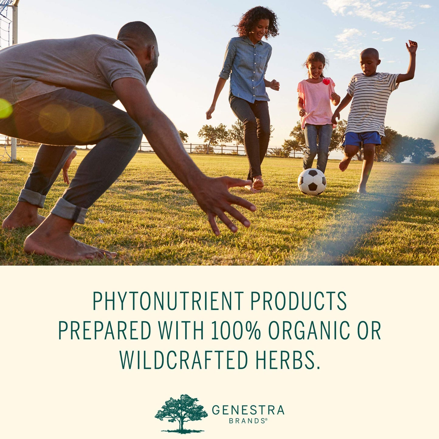 Genestra Brands Phyto Greens Capsules | Organic Greens, Vitamins & Enzymes - 180 Capsules