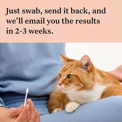 Wisdom Panel Complete Cat DNA Test - 70+ Breeds, 45 Health Conditions