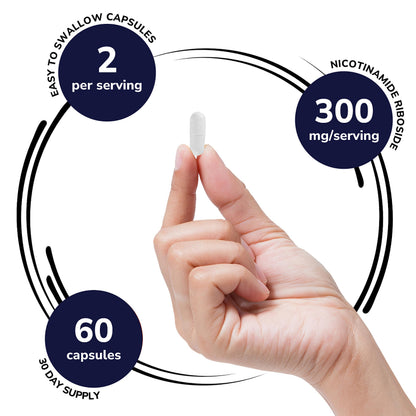 Genex Formulas NR Nicotinamide Riboside 300mg/Serving – 60 Capsules | NAD+ Precursor, GMP-Certified