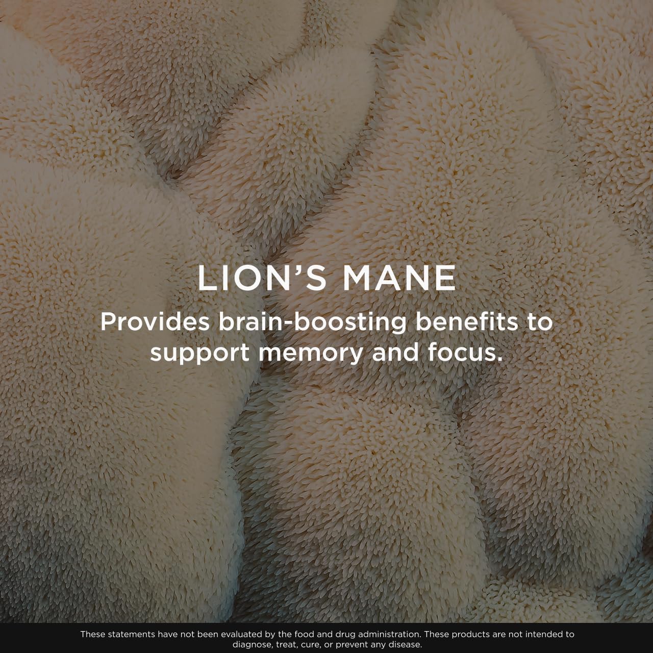Genius Lion's Mane Soft Chews – Nootropic Focus, Memory, Energy | Salted Caramel