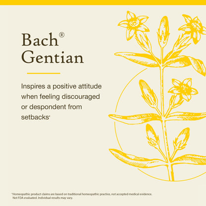 Gentian (Bach Original Flower Remedies) - Accept Setbacks - 20mL Dropper | Vegan, Gluten Free, Sugar Free
