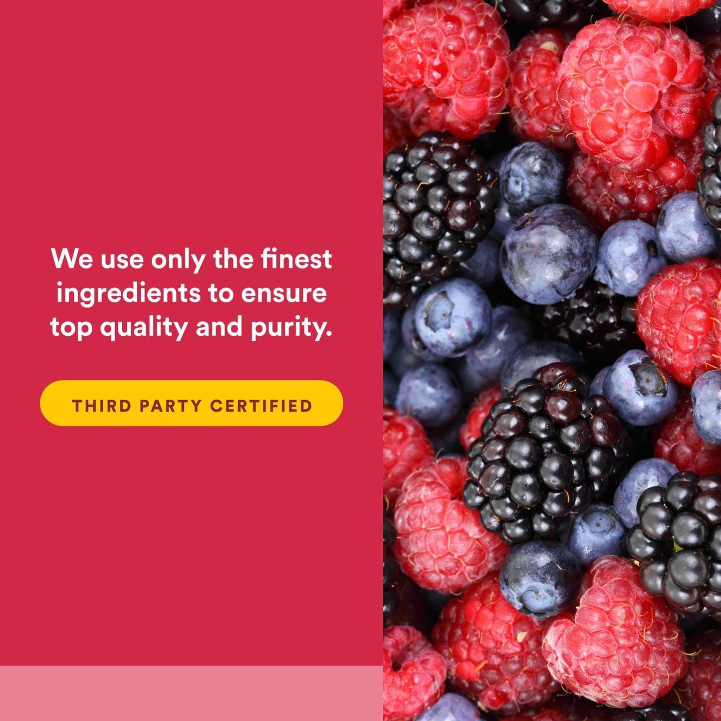 Natural Factors BioCgel Buffered Vitamin C with BerryRich – Gentle on Stomach