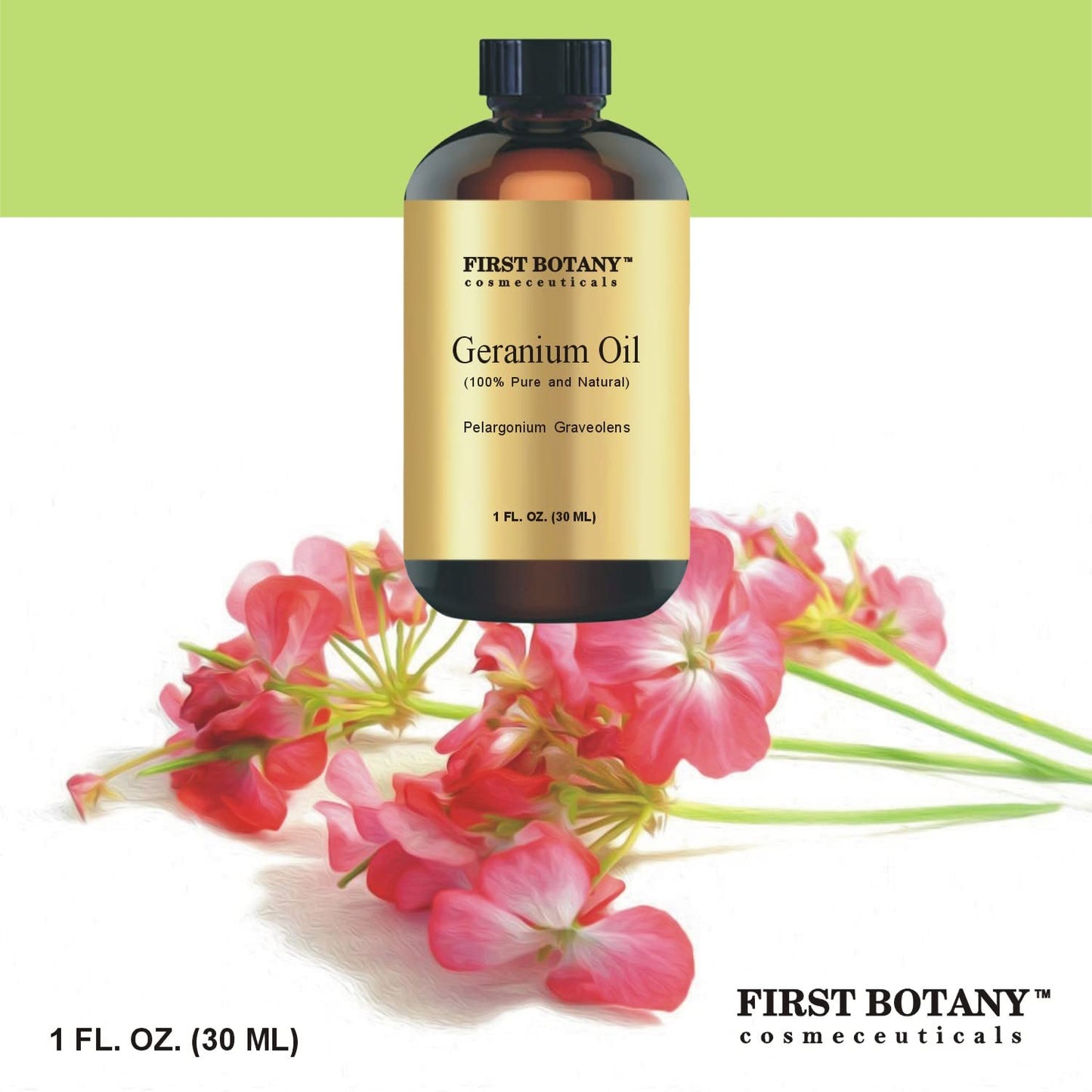First Botany 100% Pure Geranium Essential Oil - Premium Geranium Oil for Aromatherapy, Massage, Topical & Household Uses - 1 fl oz