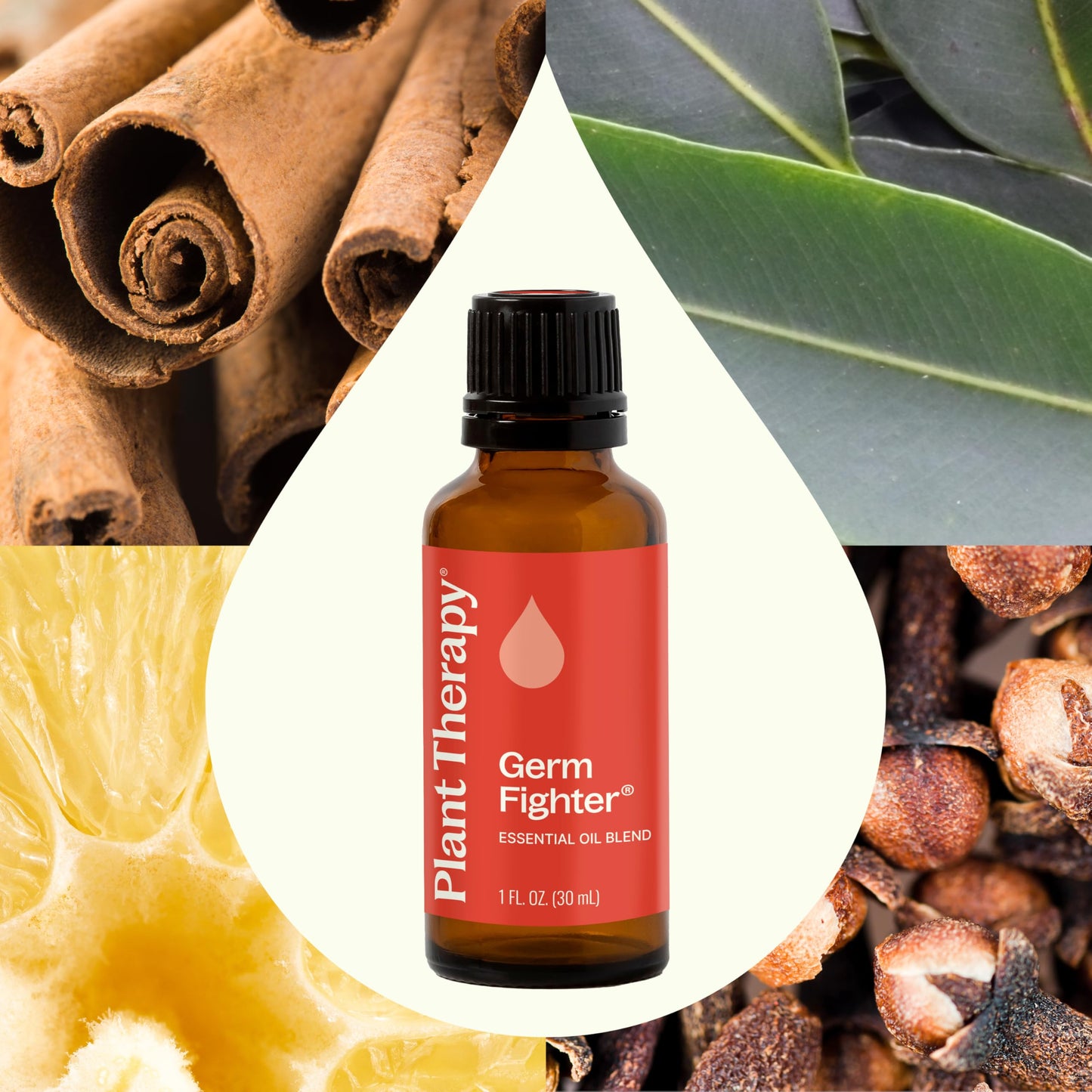 Germ Fighter Essential Oil Blend 100% Pure & Therapeutic Grade | Plant Therapy 30 mL (1 oz)