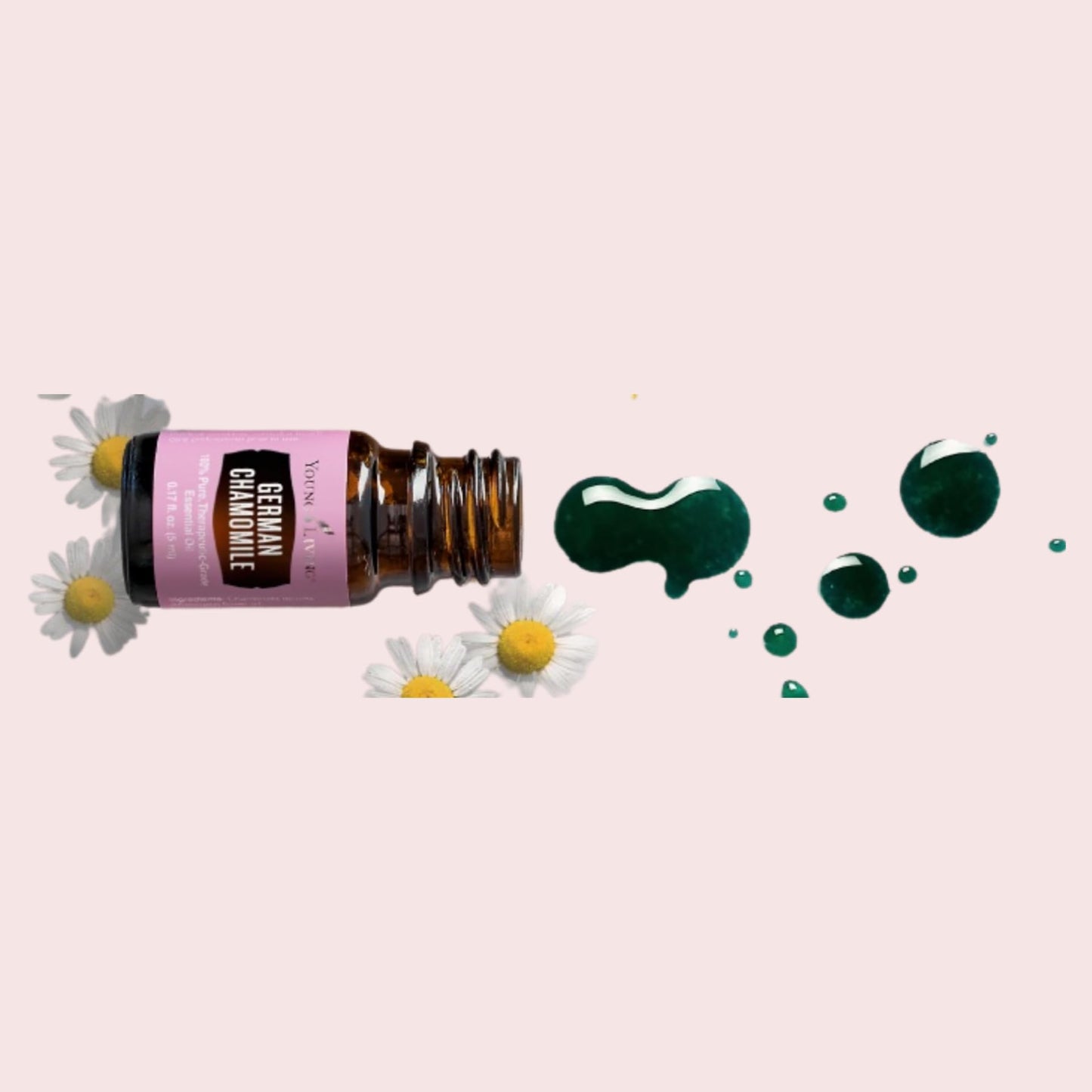 German Chamomile 5ml by Young Living – Calming Aroma, Skin Care & Meditation