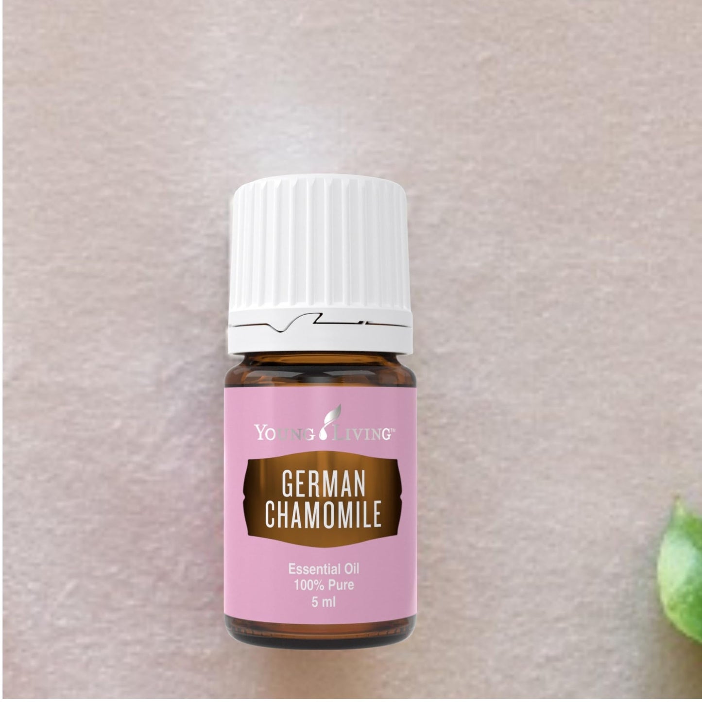 German Chamomile 5ml by Young Living – Calming Aroma, Skin Care & Meditation