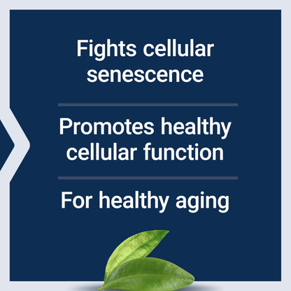 GEROPROTECT Ageless Cell – Cellular Health & Healthy Aging (30 Gluten-Free Softgels) | Life Extension