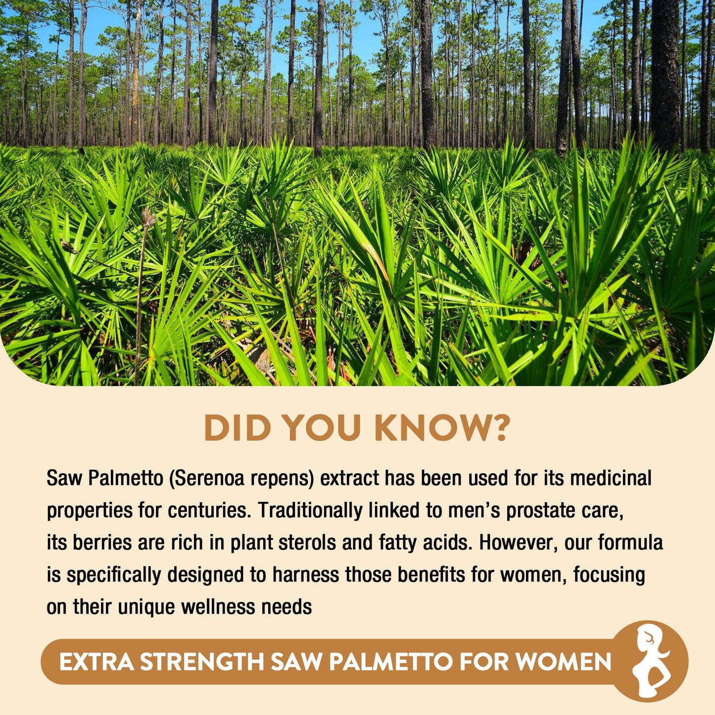 Gesundgeist Saw Palmetto for Women Hair Loss - DHT Blocker with 5-in-1 Blend for Hair Growth, Skin & Nails, Urinary Wellness - Extra Strength Saw Palmetto Supplement - 90 Capsules