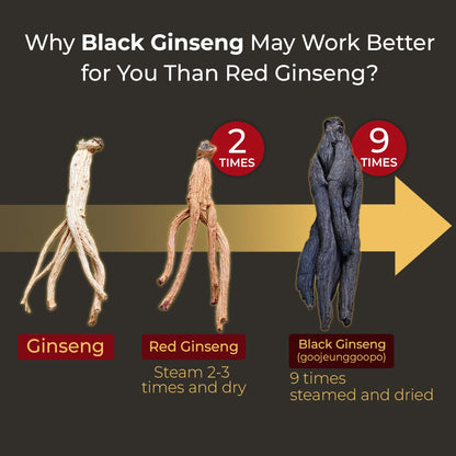 GeumHeuk Korean Black Panax Ginseng Capsule 1000mg - 90 Vegan Capsules Non GMO, High Ginsenosides, High Absorption Rate, Enhance Immunity, Mental Performance, Stamina & Energy, Men & Women