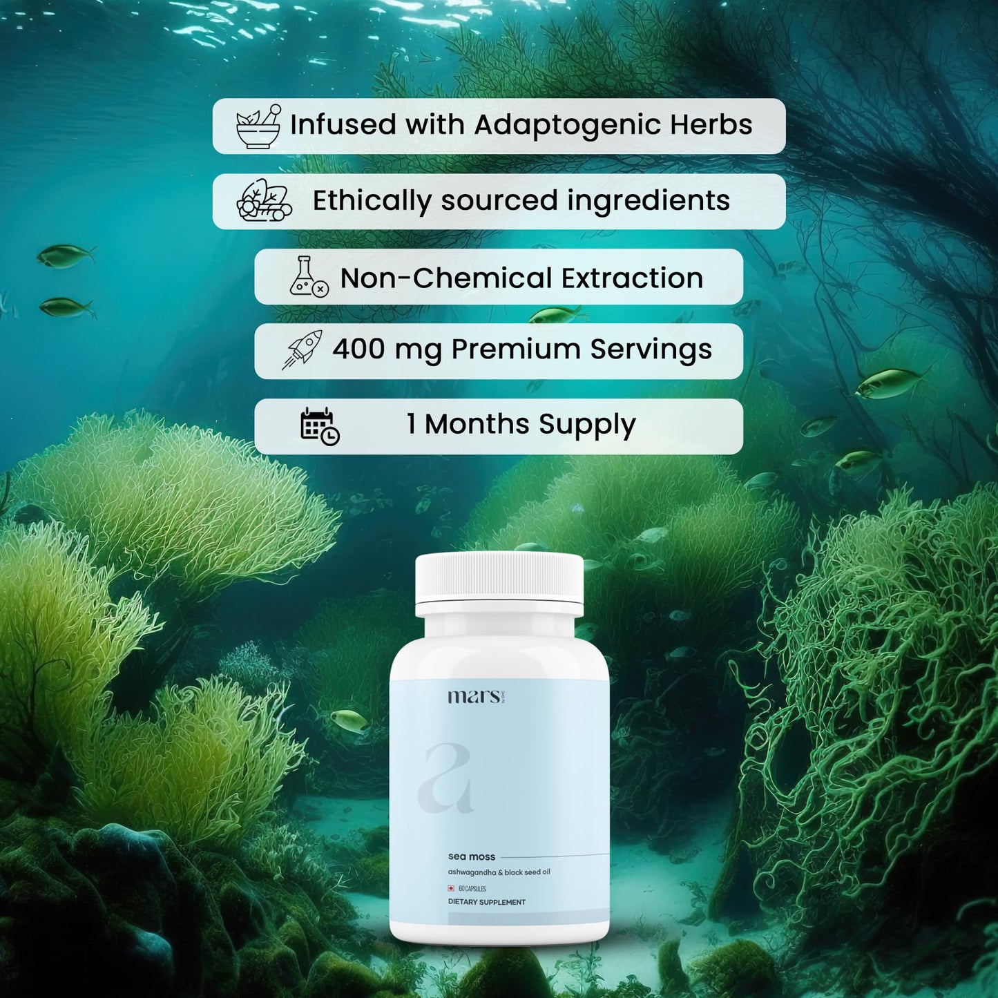 Mars Surge Natural Sea Moss Caps (60N) by GHC – 84 Minerals + Black Seed Oil | Overall Well Being | Pack of 1