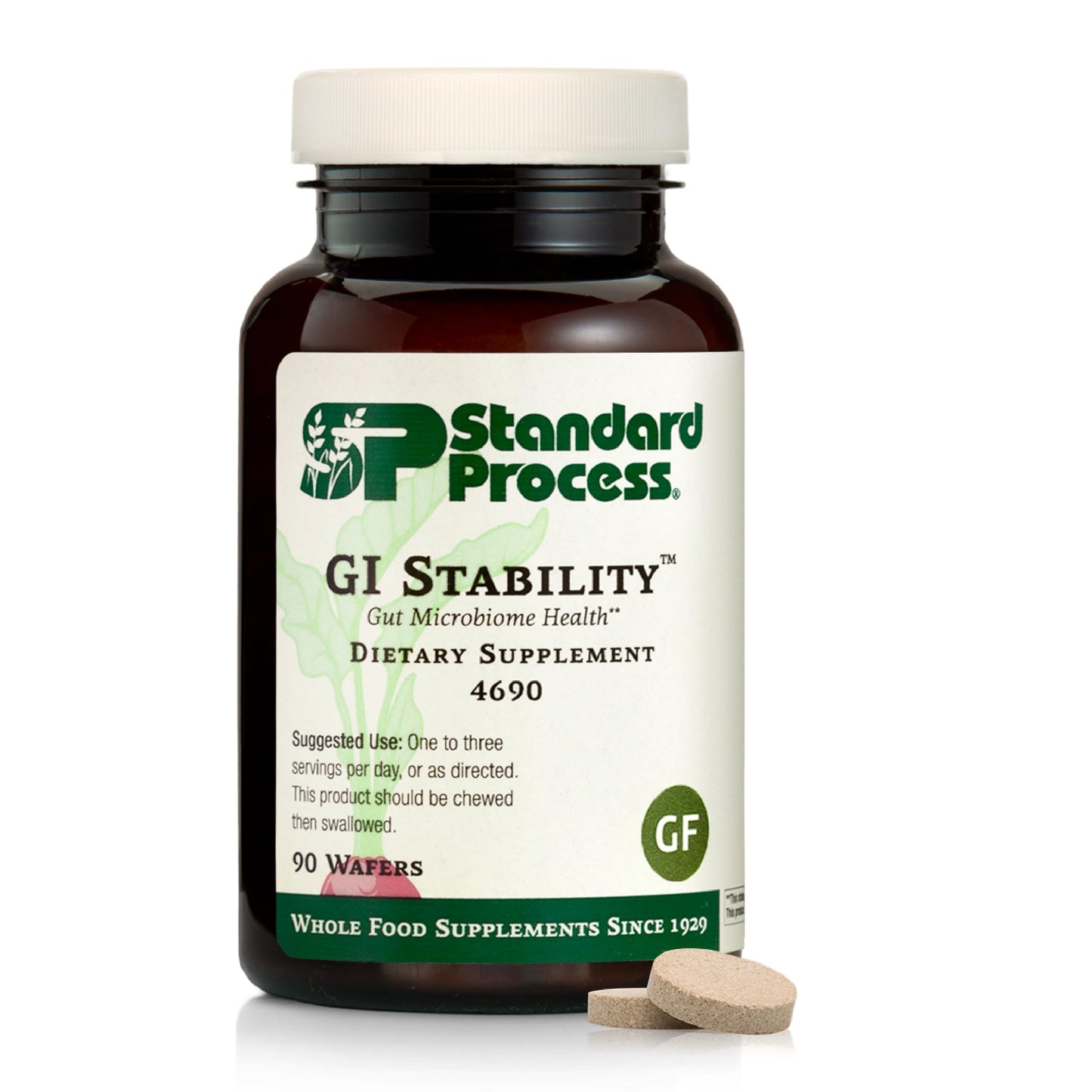 GI Stability – Gut Microbiome Health Prebiotic Supplement | Standard Process | 90 Wafers (45 Servings)