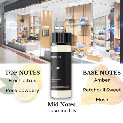Perfume-Inspired Essential Oil Set – 3×20ml Diffuser Oils