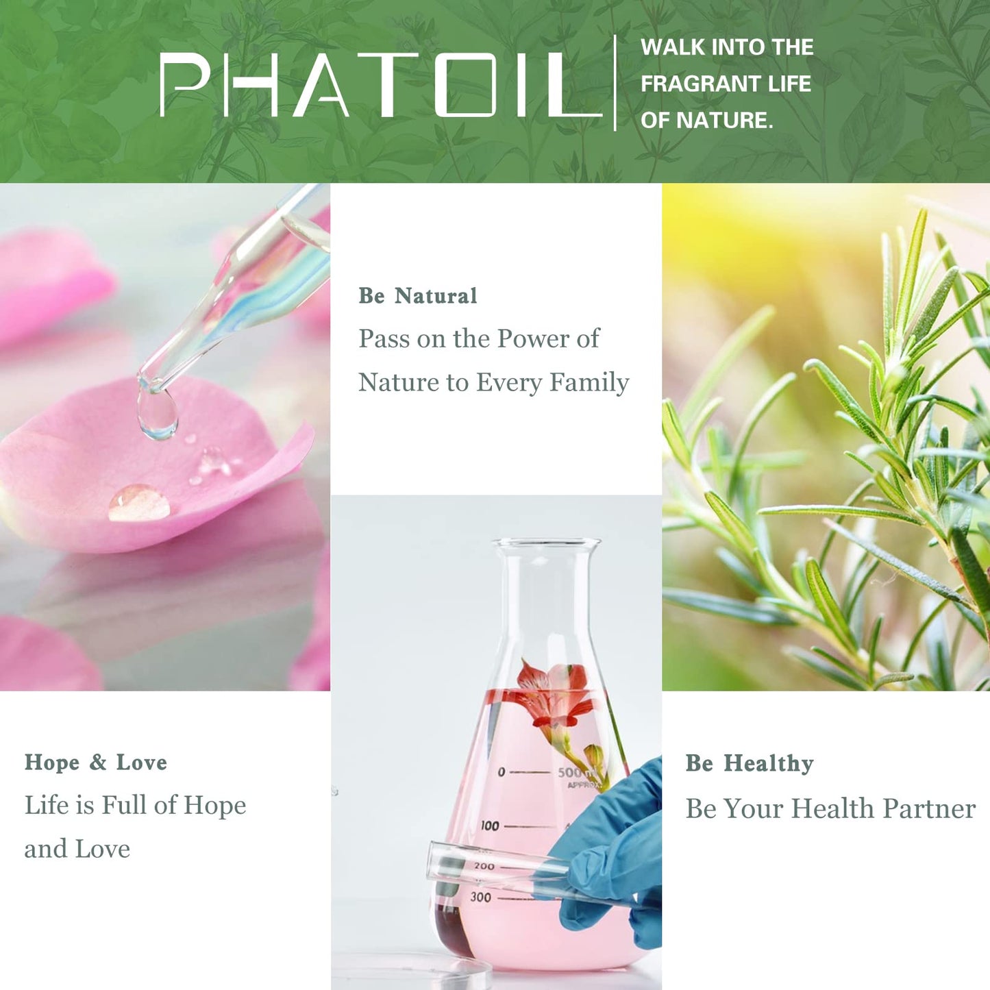 Sandalwood Essential Oil 30ml | PHATOIL Pure for Aromatherapy