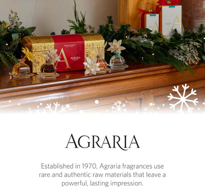 Blue Spruce Holiday PetiteEssence Diffuser, 1.7oz | Premium Room Fragrance by Agraria