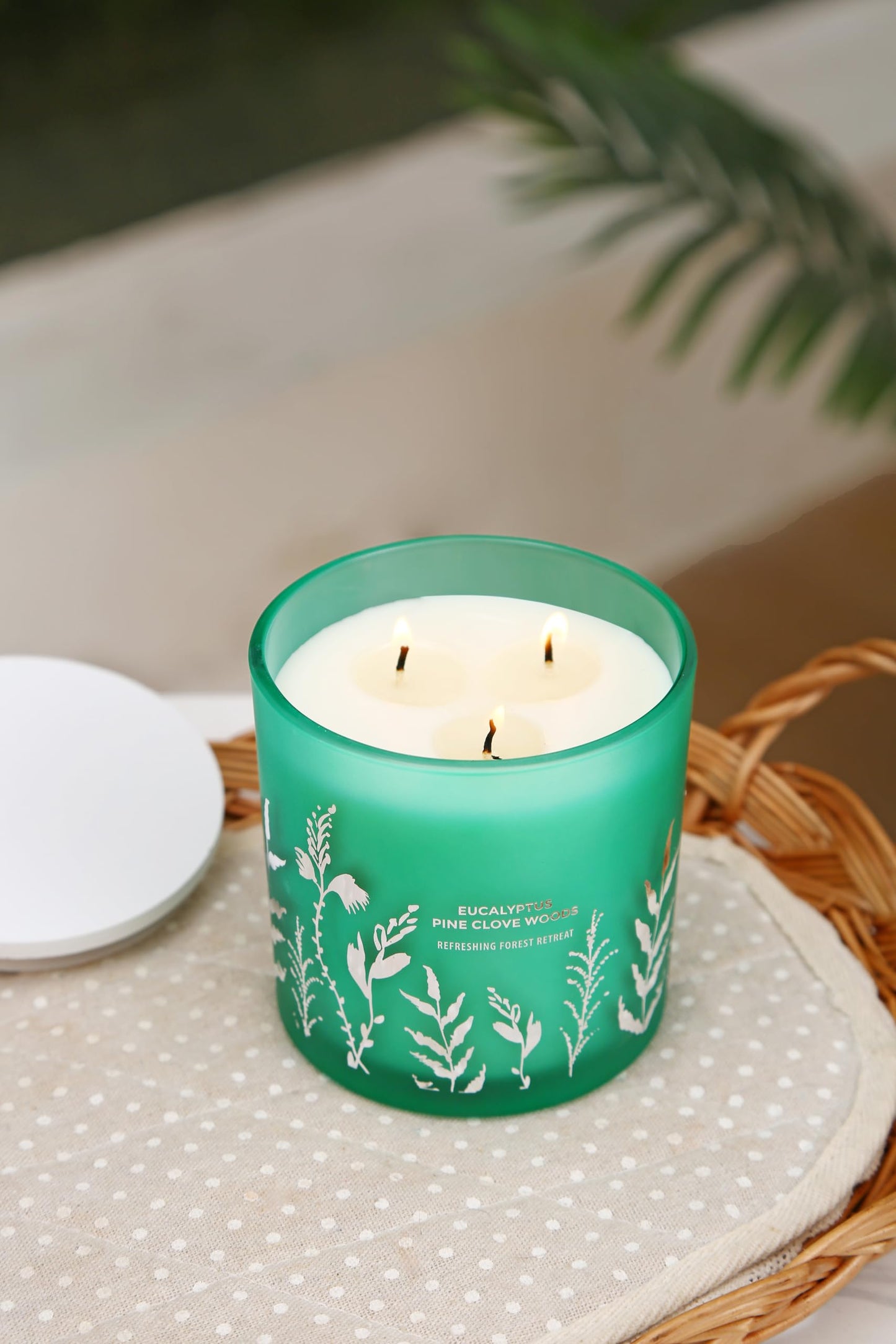 GIFTAWAY Eucalyptus Pine & Clove Balsam 3-Wick Soy Candle – Clean-Burning 14.5 oz, Cozy Winter Forest Ambience
