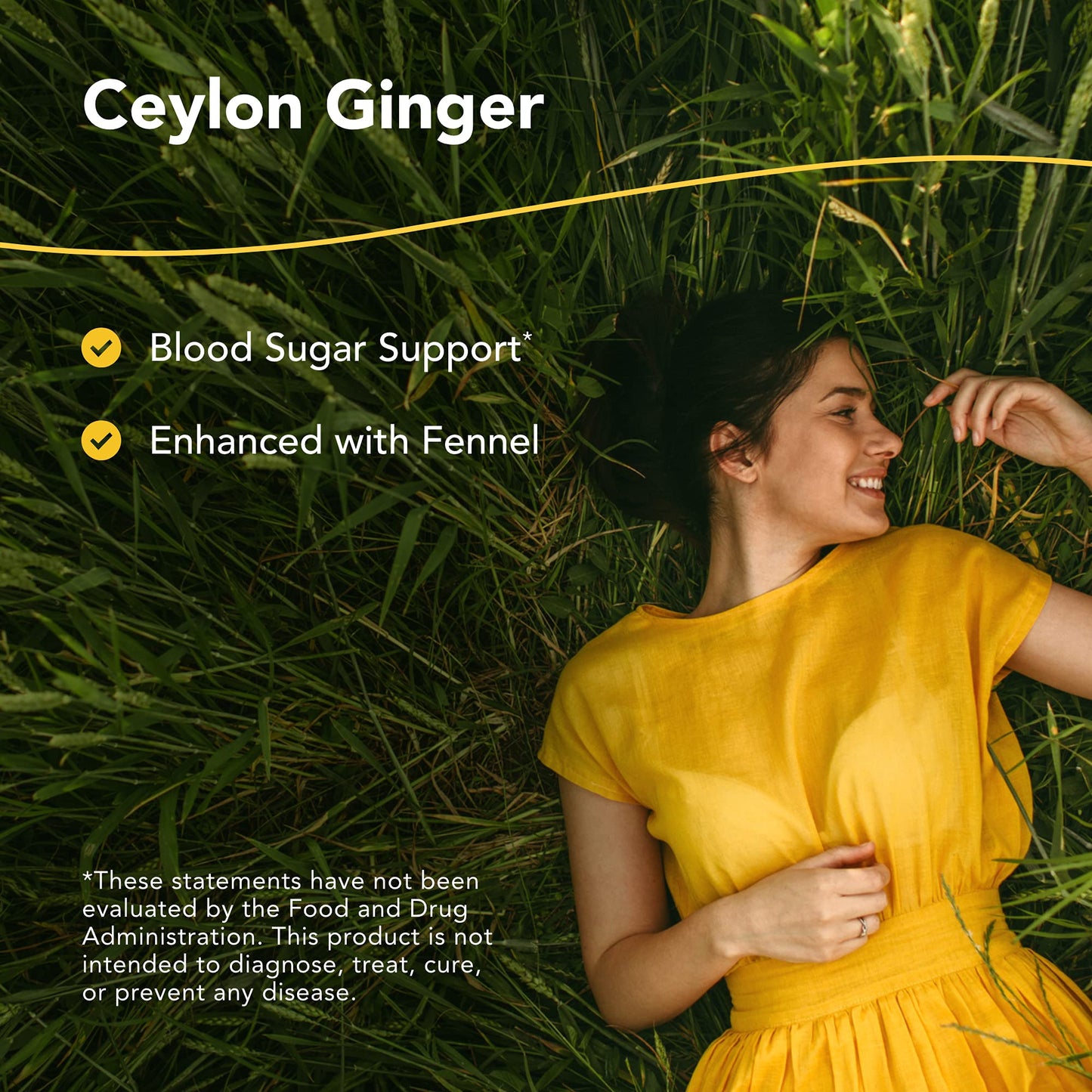 GingaMax by North American Herb & Spice | Ceylon Ginger - Digestive Support - 90 Capsules