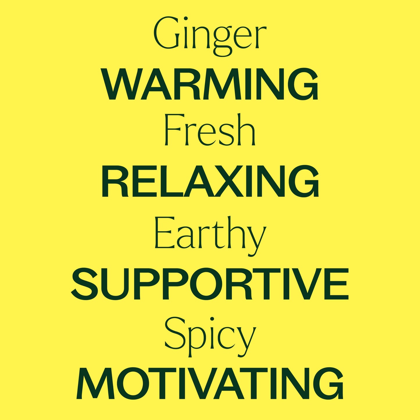 Plant Therapy Ginger Steam Distilled Essential Oil 10 mL (1/3 oz) 100% Pure, Undiluted, Natural Aromatherapy