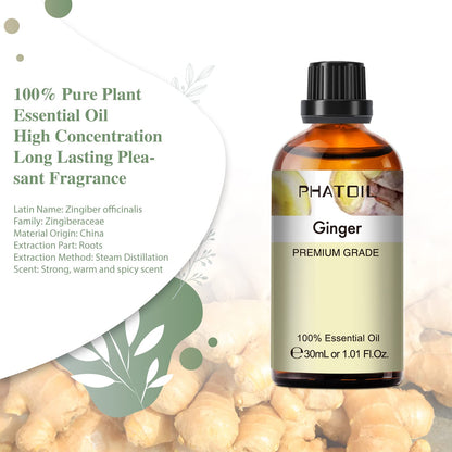 Ginger Essential Oil 30ML | PHATOIL Pure Essential Oil Singles for Aromatherapy, Diffusers, DIY Candles & Soaps