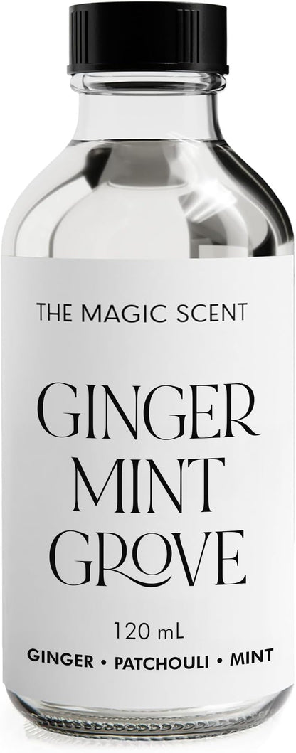 The Magic Scent Ginger Mint Grove Diffuser Oil - Luxury Hotel & Home Scents - 4 oz (120 mL)